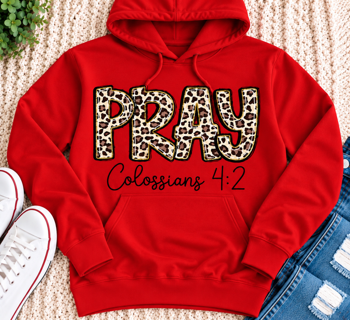 PRAY Colossians 4:2 leopard print Christian graphic shirt available in short sleeve crewneck, V-neck, long sleeve and hoodie styles.