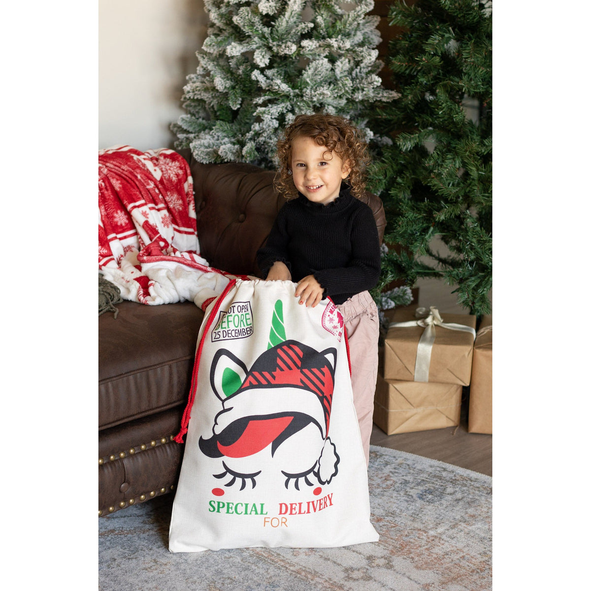 🎅Ready to Ship | Unicorn - 2024 Santa Sack