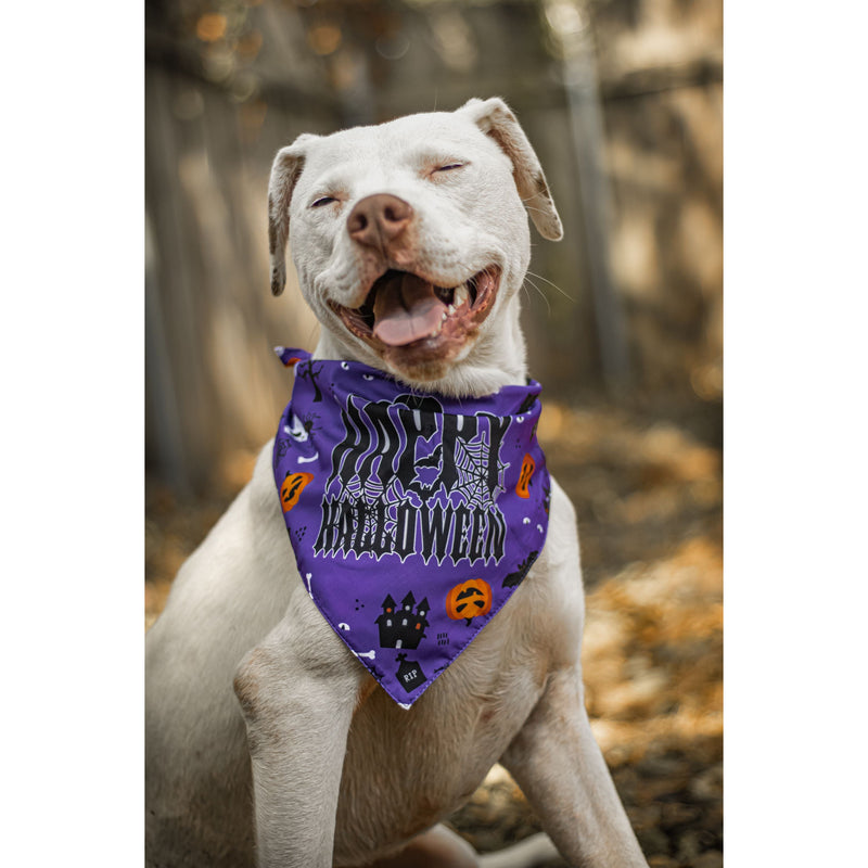 Ready to Ship | Halloween Dog Triangle Collar/Scarf
