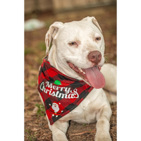 Ready to Ship | Holiday Plaid Dog Collar