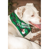 Ready to Ship | Holiday Plaid Dog Collar