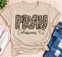 PRAY Colossians 4:2 leopard print Christian graphic shirt available in short sleeve crewneck, V-neck, long sleeve and hoodie styles.