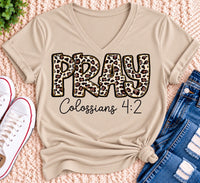 PRAY Colossians 4:2 leopard print Christian graphic shirt available in short sleeve crewneck, V-neck, long sleeve and hoodie styles.
