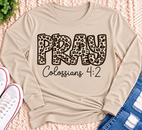 PRAY Colossians 4:2 leopard print Christian graphic shirt available in short sleeve crewneck, V-neck, long sleeve and hoodie styles.